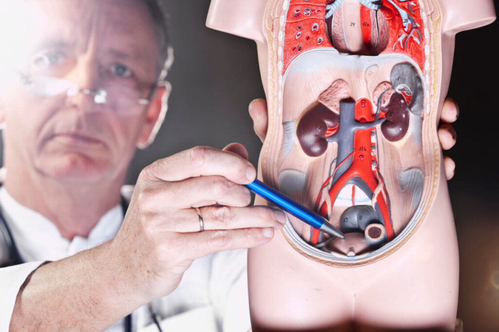 Não adie sua consulta com urologista: sinais de alerta
