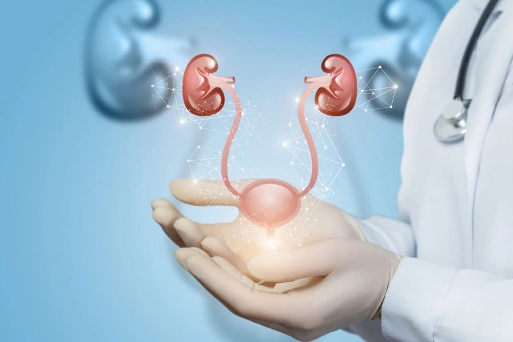 Fluxo urinário e saúde: importância do exame de urofluxometria